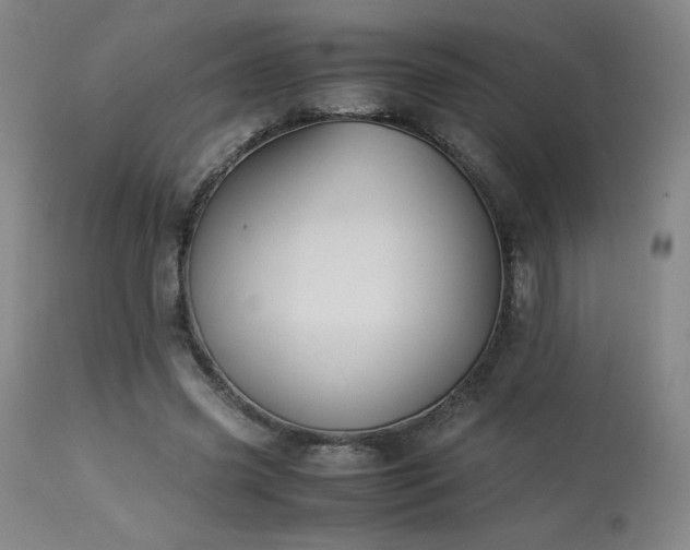 X0000114010541200910021344