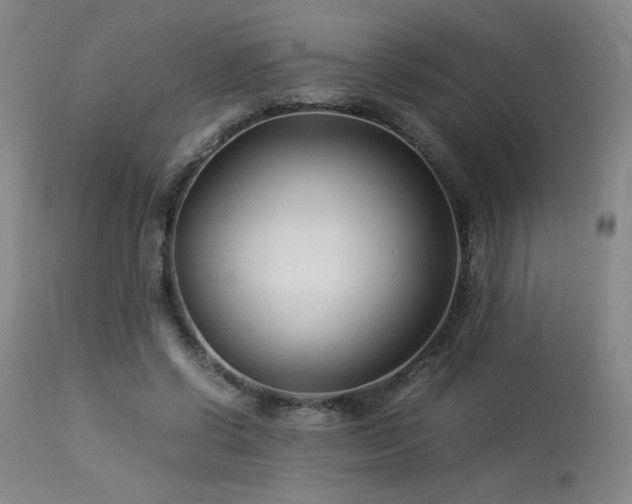 X0000114010542200910021344