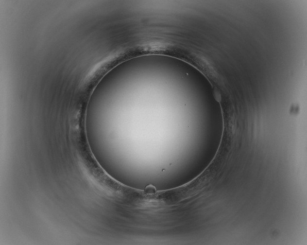 X0000114010543200910021344