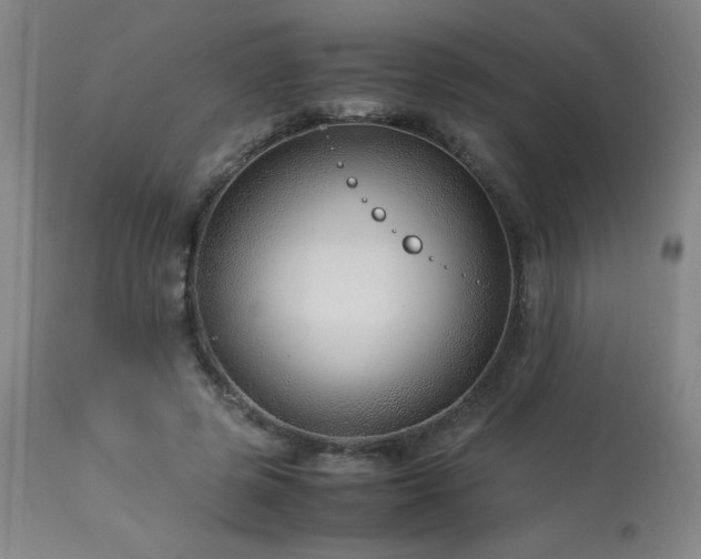 X0000114010545200910021344