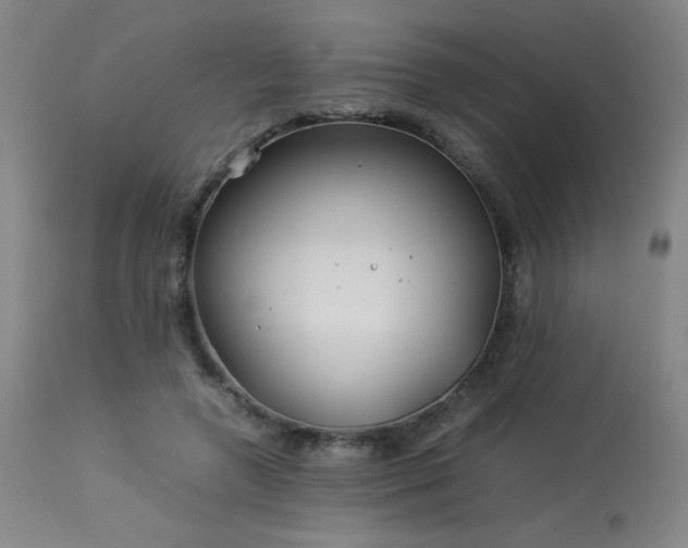 X0000114010546200910021344