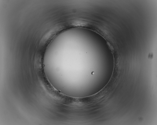 X0000114010547200910021344