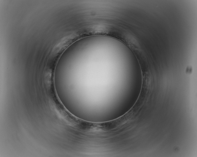 X0000114010550200910021344