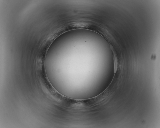 X0000114010551200910021344