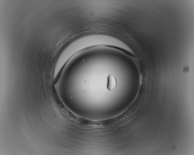 X0000114010552200910021344