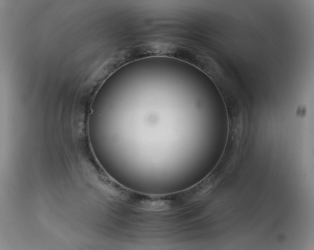 X0000114010553200910021344