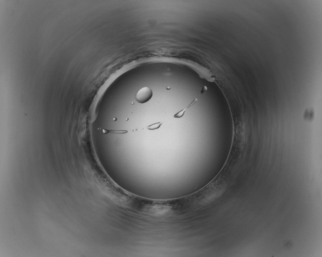 X0000114010554200910021344