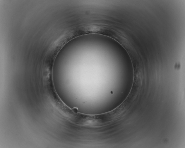 X0000114010555200910021344
