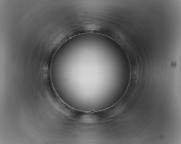 X0000114010556200910021344