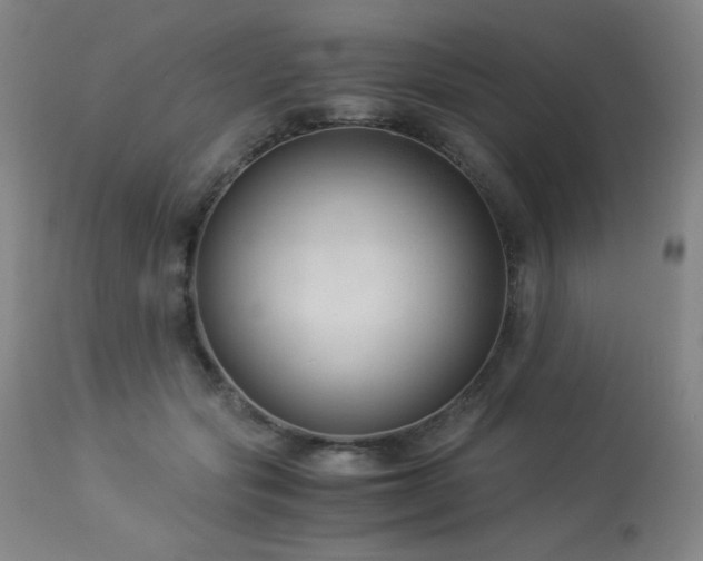 X0000114010557200910021344