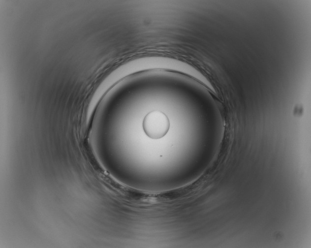X0000114010558200910021344