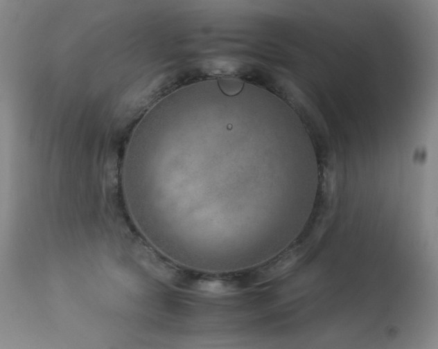 X0000114010561200910021345