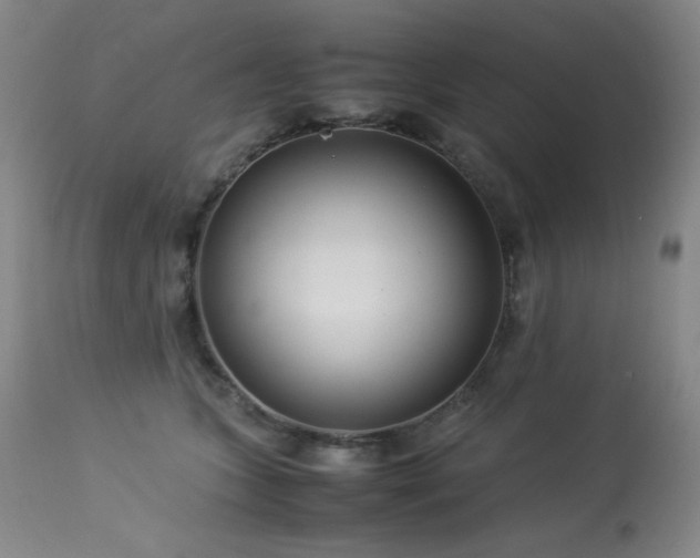 X0000114010563200910021345