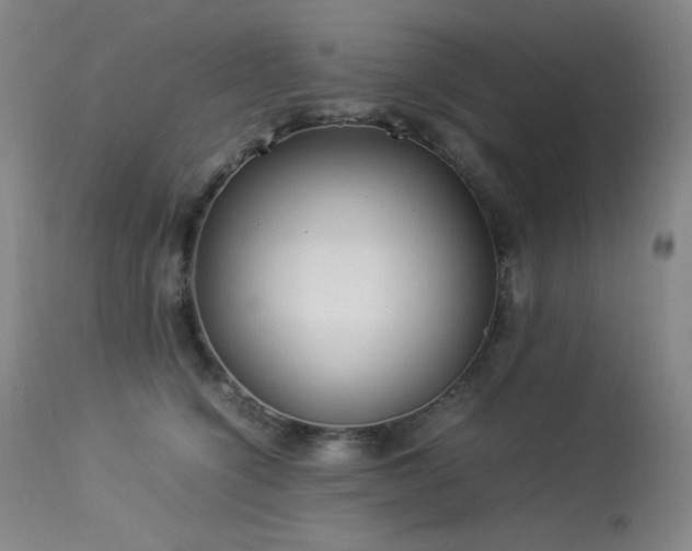 X0000114010564200910021345