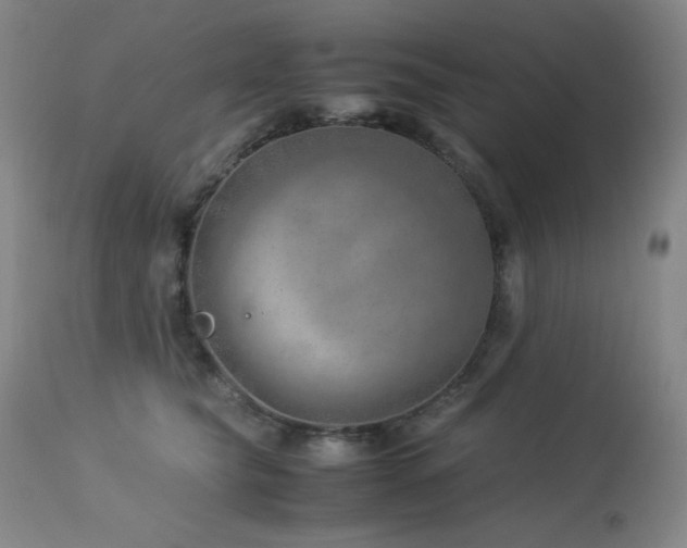 X0000114010565200910021345