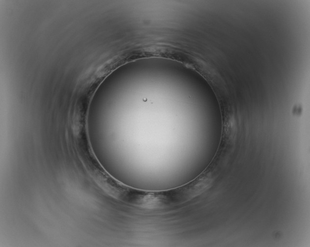 X0000114010566200910021345