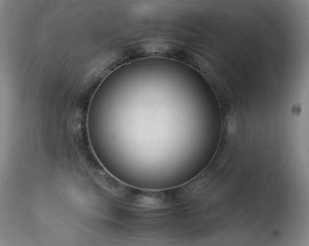 X0000114010567200910021345