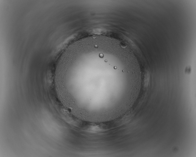 X0000114010569200910021345