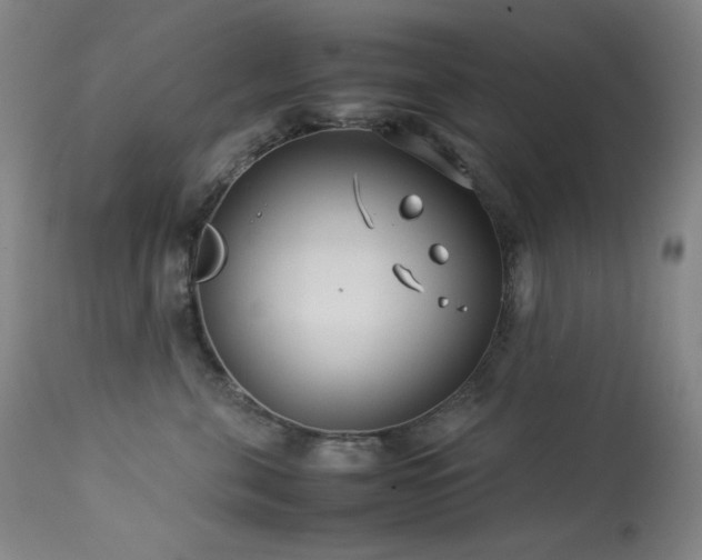 X0000114010571200910021345