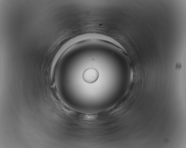 X0000114010573200910021345