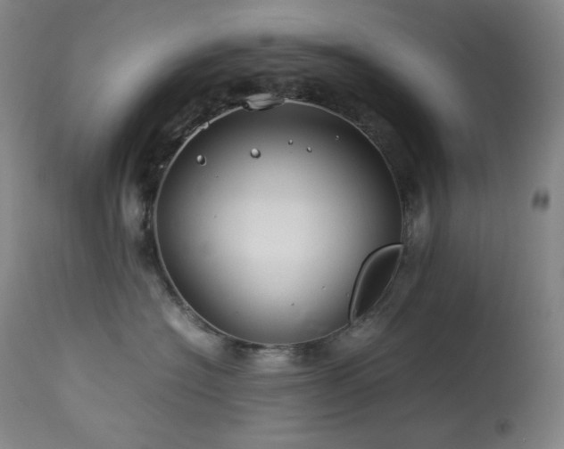 X0000114010574200910021345