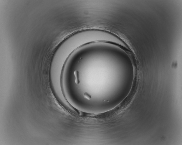 X0000114010577200910021344