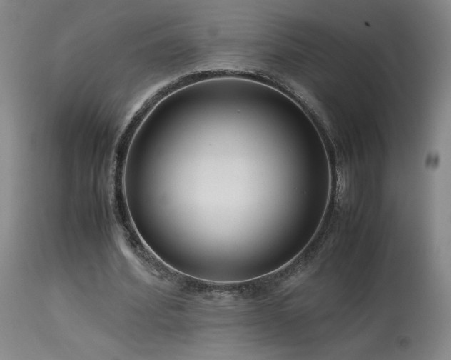 X0000114010580200910021344
