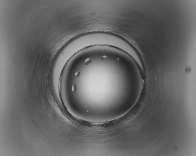 X0000114010581200910021344