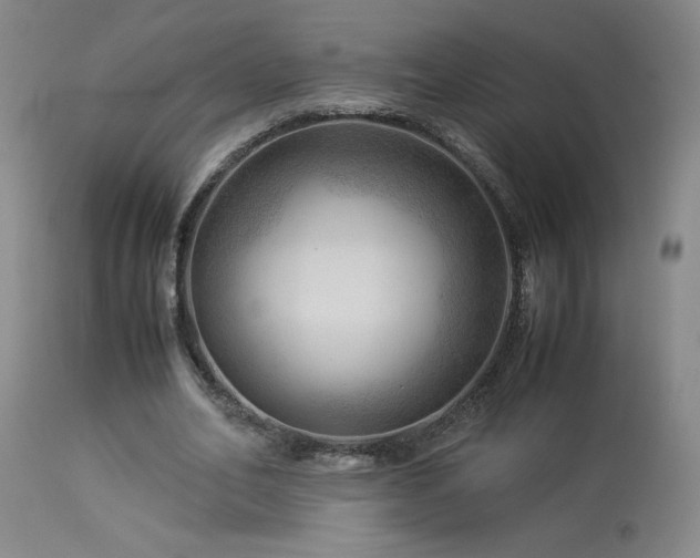 X0000114010582200910021344