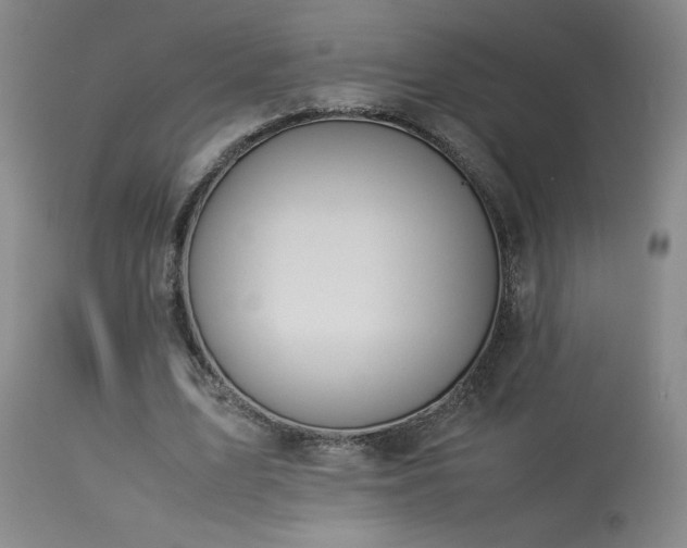 X0000114010583200910021344