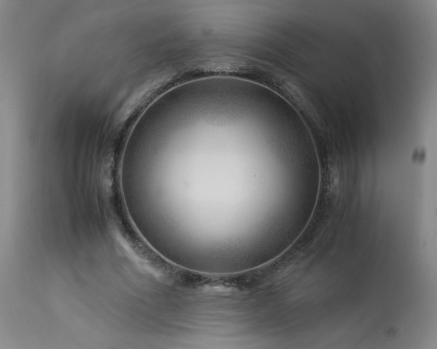 X0000114010586200910021344