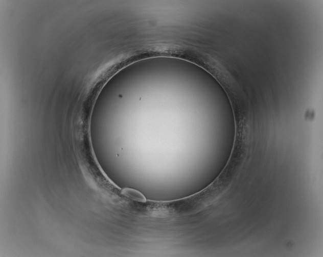 X0000114010587200910021344