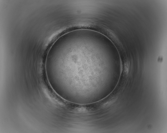 X0000114010588200910021344