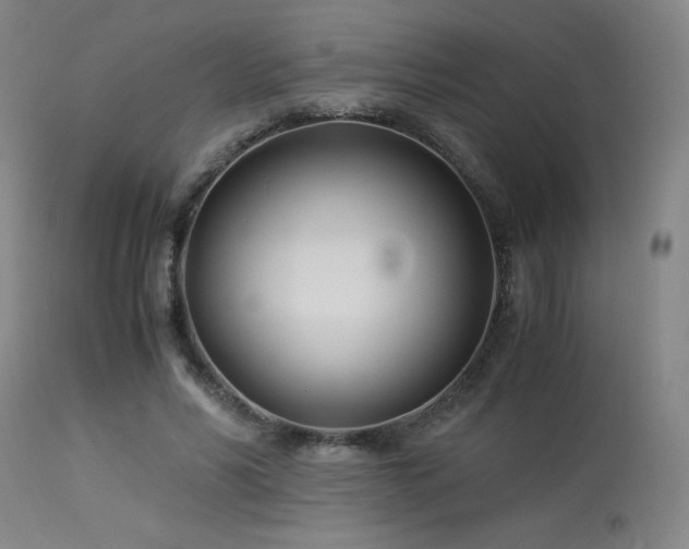 X0000114010590200910021344