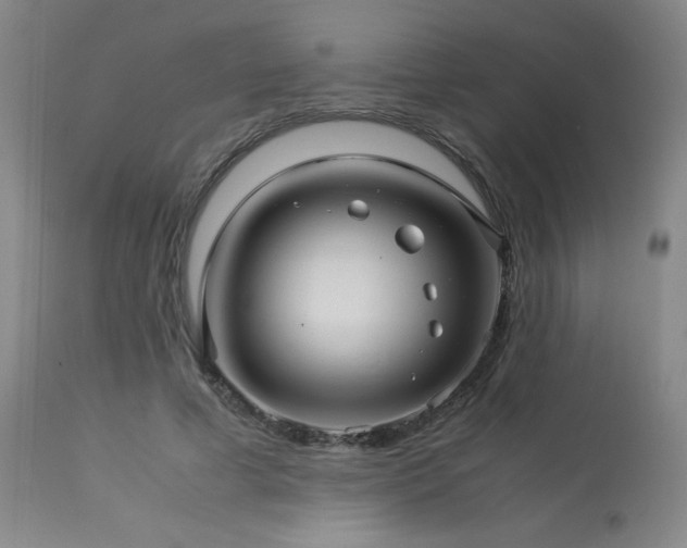 X0000114010593200910021344