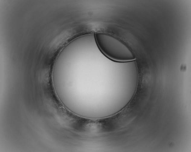 X0000114010595200910021344