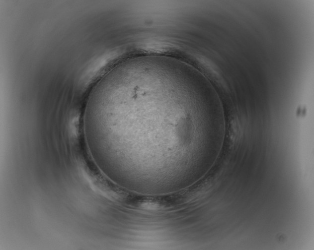 X0000114010596200910021344