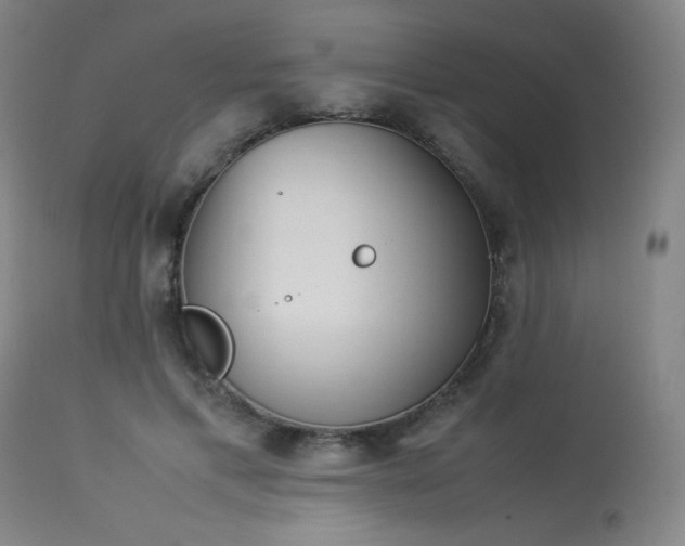 X0000114010597200910021344