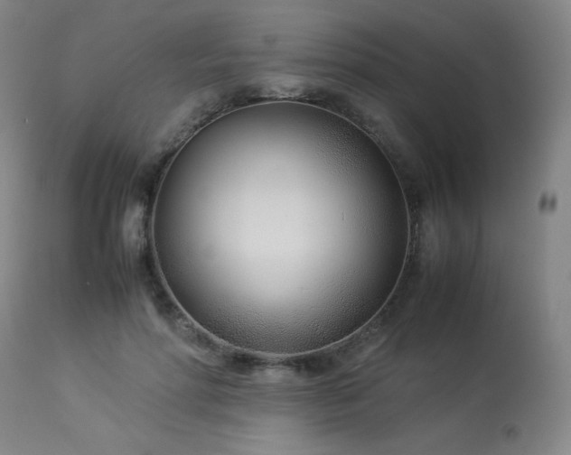 X0000114010598200910021344
