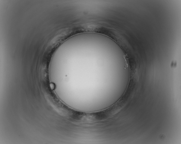 X0000114010599200910021344