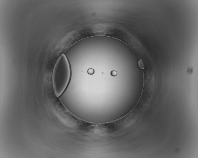 X0000114010601200910021344