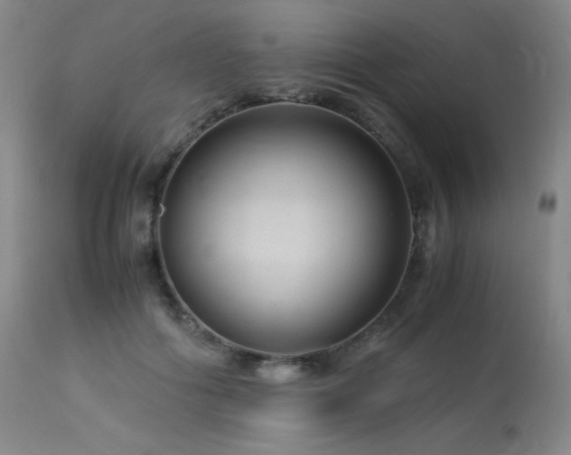 X0000114010602200910021344