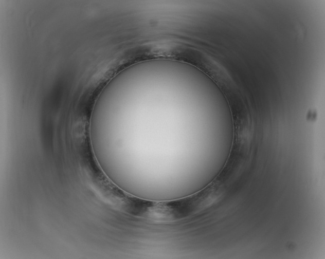 X0000114010603200910021344