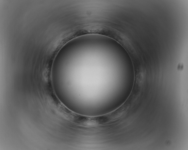 X0000114010604200910021344