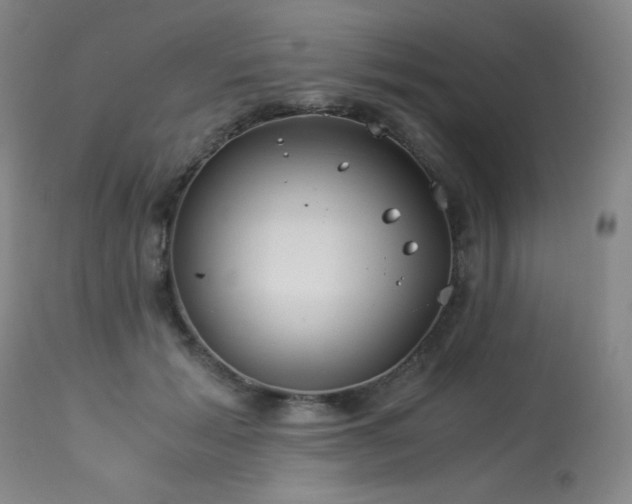 X0000114010605200910021344