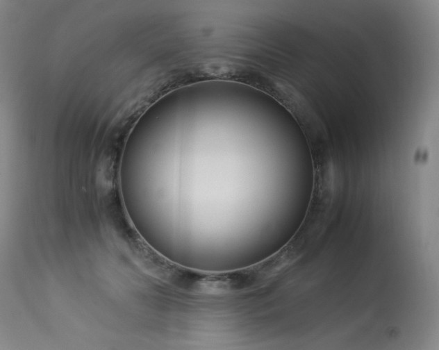 X0000114010606200910021344