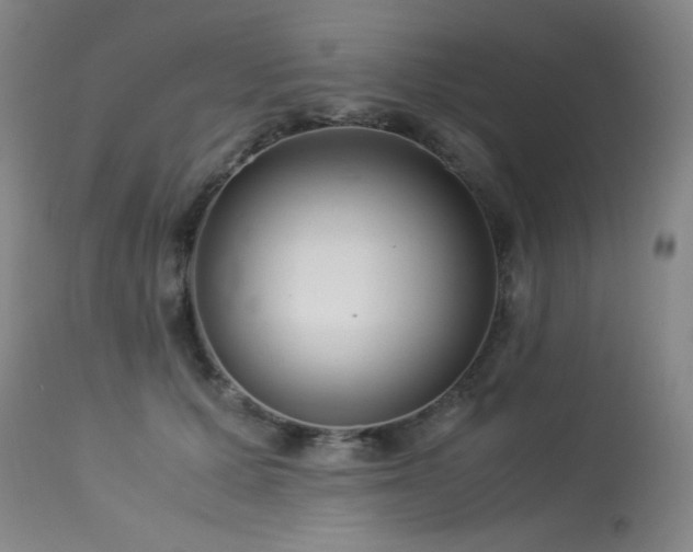 X0000114010607200910021343