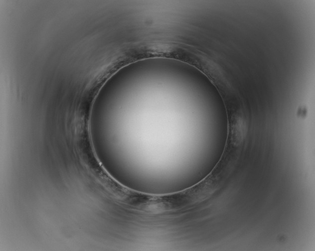 X0000114010608200910021343