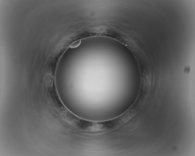 X0000114010609200910021343