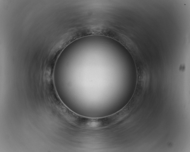X0000114010610200910021343